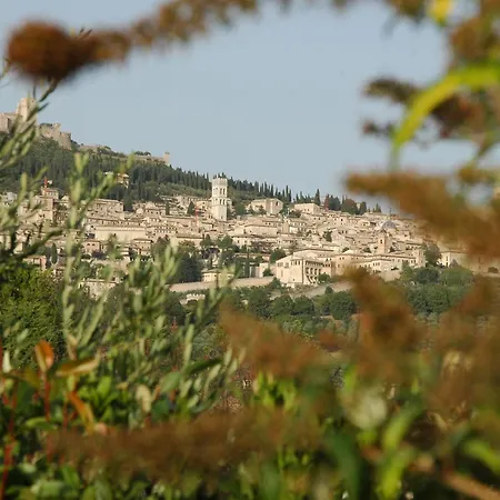 Séjour à la campagne Il Podere Del Falco *