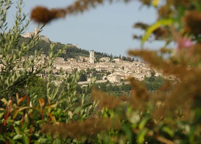 Casa rural Il Podere Del Falco *