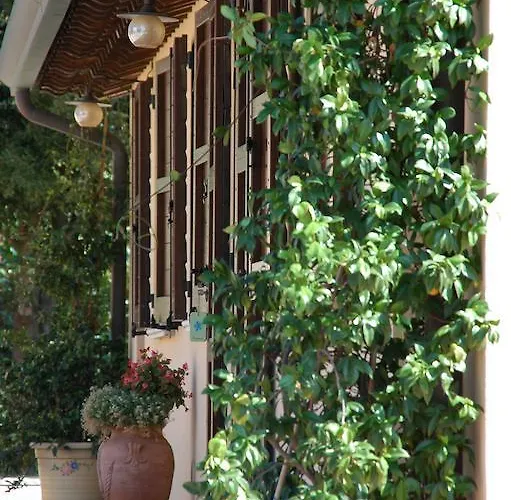 Il Podere Del Falco Asís